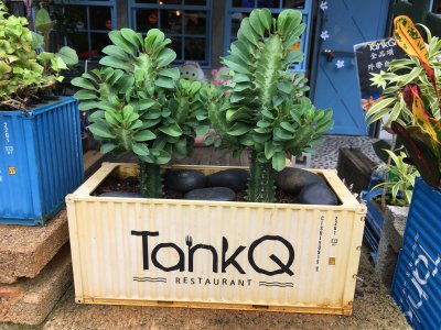 Container Box Garden Pots At TankQ